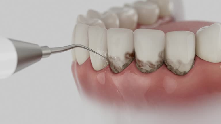 Reliable Dental contractor in Lakewood, IL by Dentist Open Now